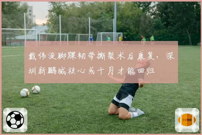 戴伟浚脚踝韧带撕裂术后康复，深圳新鹏城核心或十月才能回归