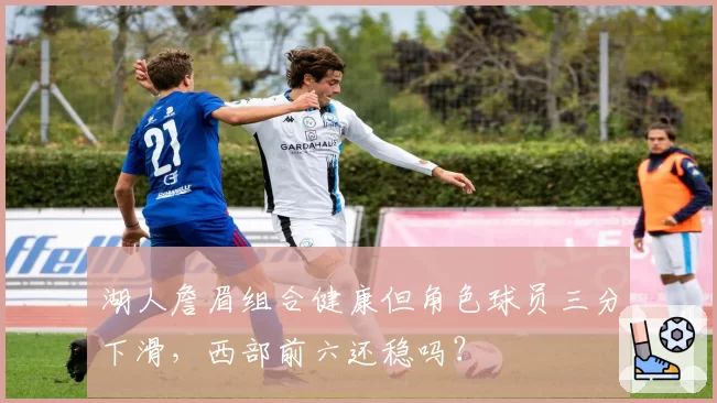 湖人詹眉组合健康但角色球员三分下滑，西部前六还稳吗？