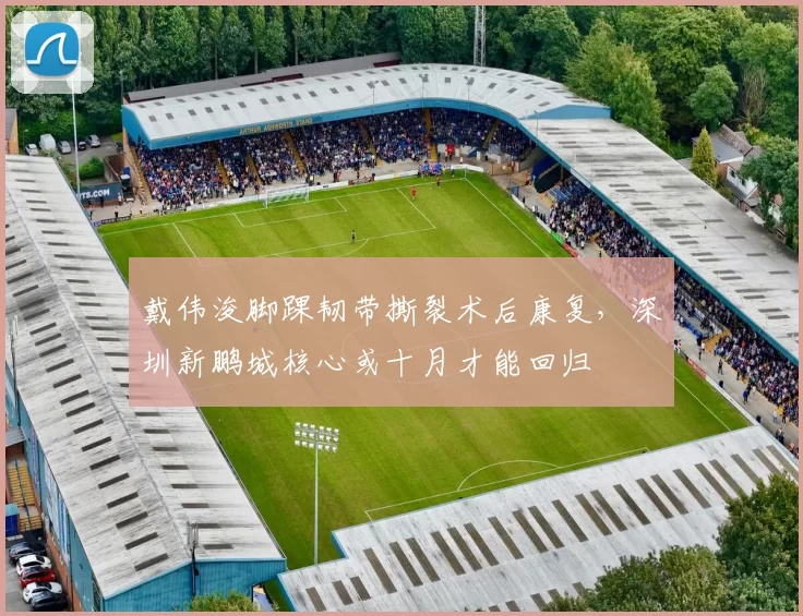 戴伟浚脚踝韧带撕裂术后康复,深圳新鹏城核心或十月才能回归