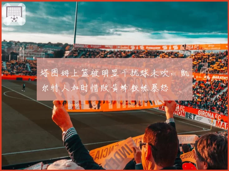 塔图姆上篮被明显干扰球未吹，凯尔特人加时惜败黄蜂教练暴怒
