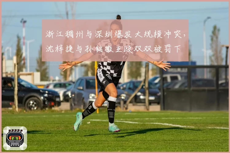浙江稠州与深圳爆发大规模冲突，沈梓捷与孙铭徽互殴双双被罚下