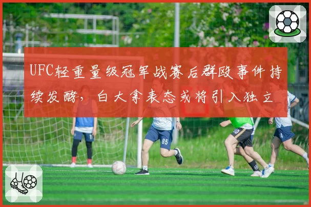 UFC轻重量级冠军战赛后群殴事件持续发酵，白大拿表态或将引入独立仲裁员制度